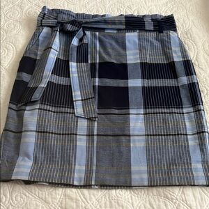 Ann Taylor SpringSummer Skirt